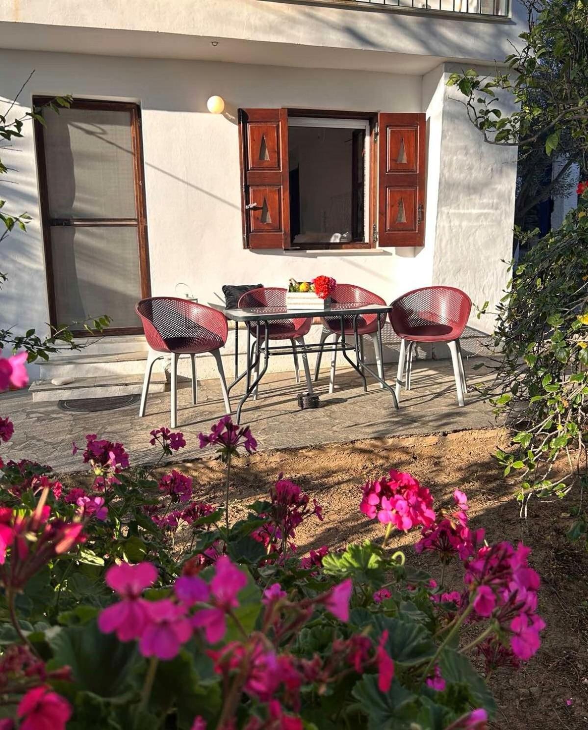 Grandpa Simos' Traditional Guest House Agios Romanos Dış mekan fotoğraf