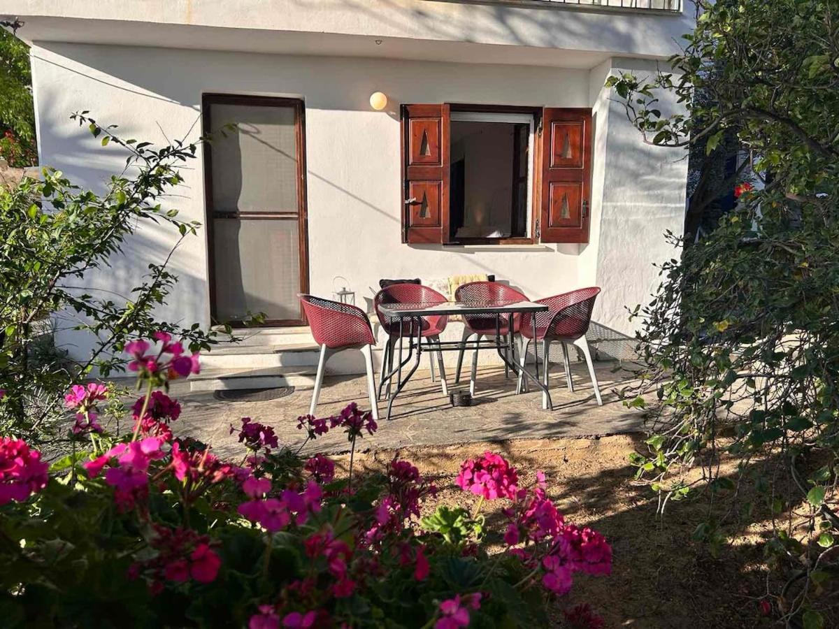 Grandpa Simos' Traditional Guest House Agios Romanos Dış mekan fotoğraf
